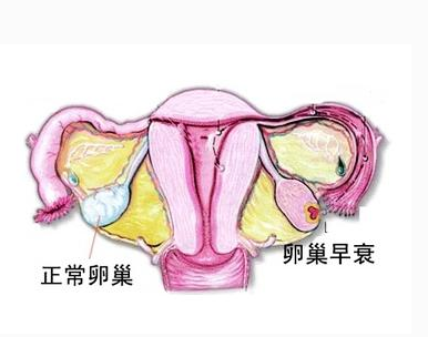 1563328461613309Pe7K.png 圖片7.png